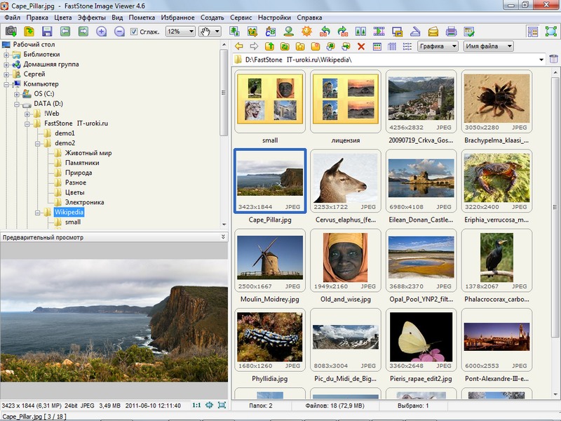 Faststone Image Viewer     -  11